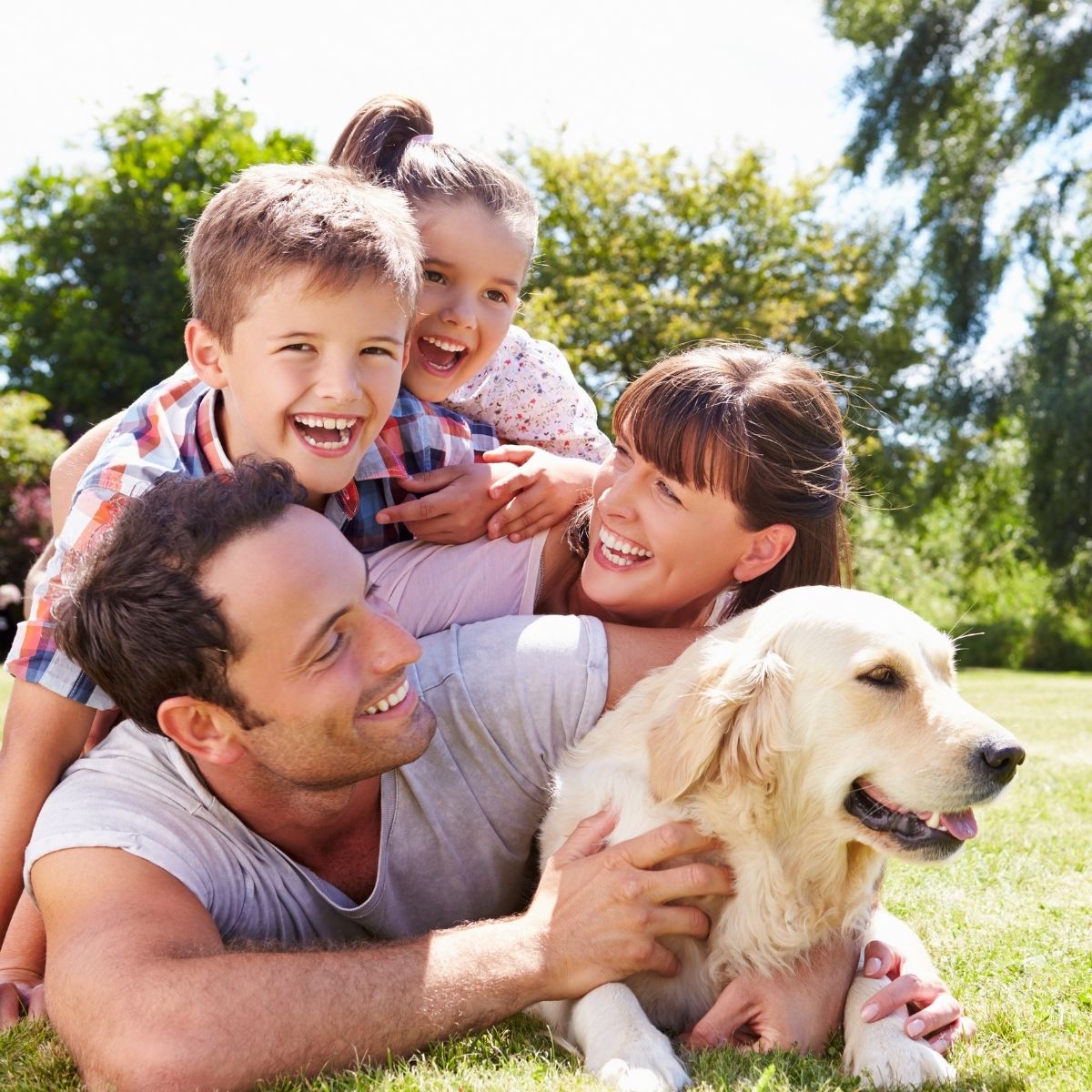 Como ocorre a transmissão da estrongiloidíase