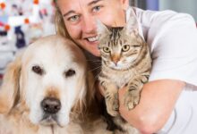 Melhores Hospitais e Clinicas Veterinárias no Estado do Rio de Janeiro