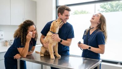 100 SaaS em Desenvolvimento pelo Guia Animal