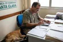 Planejamento Financeiro Vet: A Meta de Alavancagem para o 1º Ano