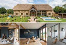 Raio-X do Investimento: Quanto Custa Montar um Hotel Pet ou Day Care em 2026?