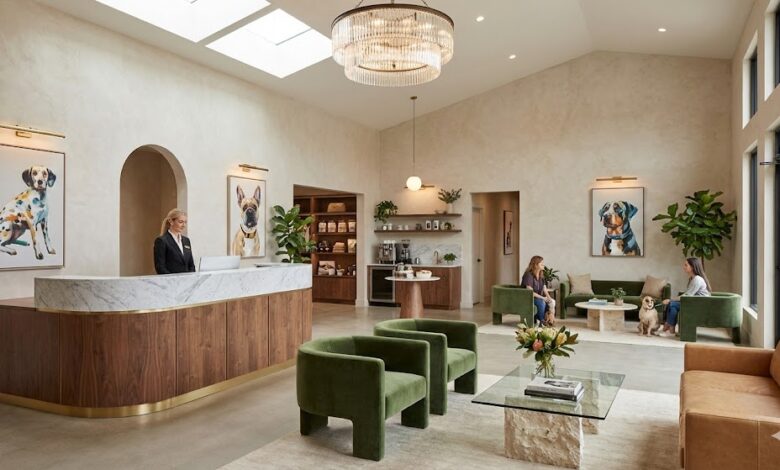 Raio-X do Investimento: Quanto Custa Montar uma Clínica Veterinária de Sucesso em 2026?