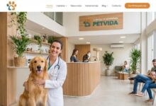 Ter Site Próprio ou Só Instagram? A Matemática do Marketing Veterinário
