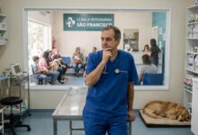 Franquia Veterinária vs. Clínica Própria: Onde o Lucro é Maior?