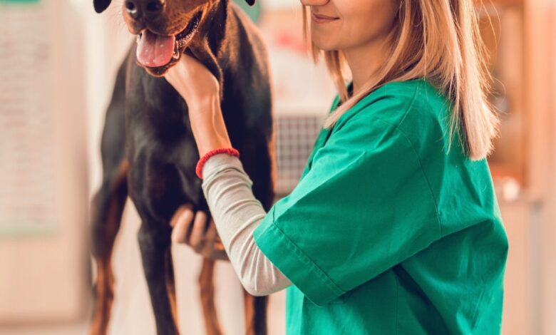 Plantão Extremo: Simulador de Segurança do Trabalho e Mapa de Risco Veterinário