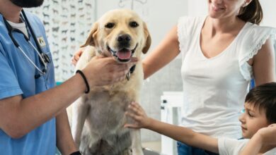 Protozoários Intestinais em Cães: Uma Abordagem Completa