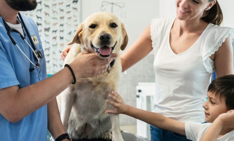 Protozoários Intestinais em Cães: Uma Abordagem Completa