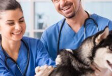 Como Desinfetar a Casa Apos Doenças Infectocontagiosas