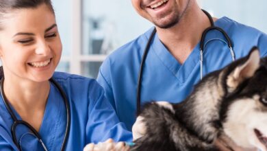 Como Desinfetar a Casa Apos Doenças Infectocontagiosas