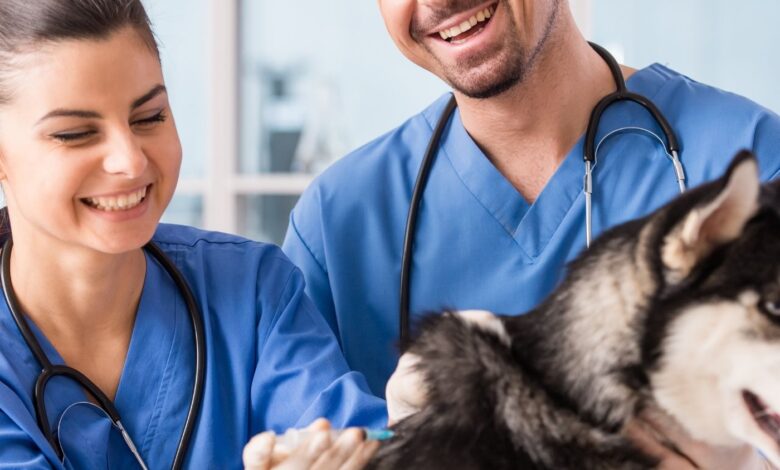 Como Desinfetar a Casa Apos Doenças Infectocontagiosas