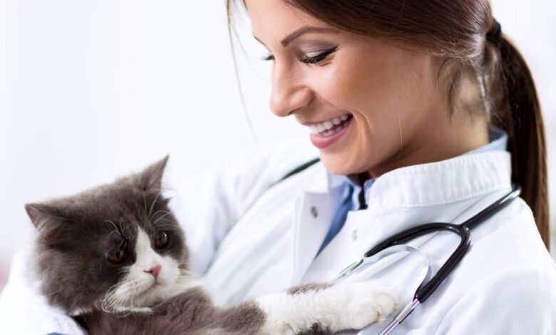 Qual é o hospedeiro definitivo do Toxoplasma gondii?