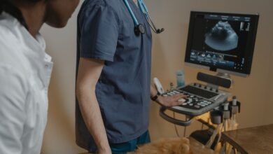 As 10 Melhores Faculdades de Medicina Veterinária no Nordeste do Brasil