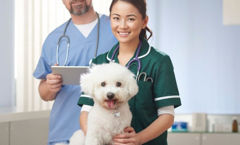 O que são as vacinas V8 e V10 para cães?