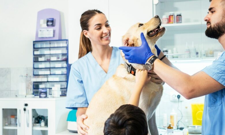 A Fronteira Invisível: Biossegurança e Biosseguridade