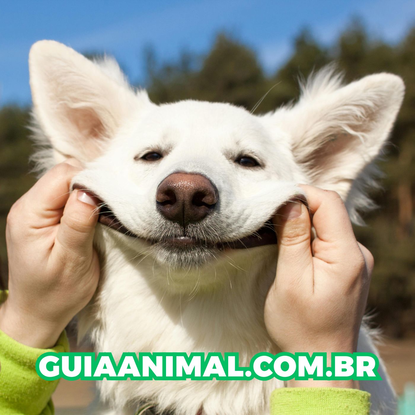 Quiz de Doenças Infecciosas