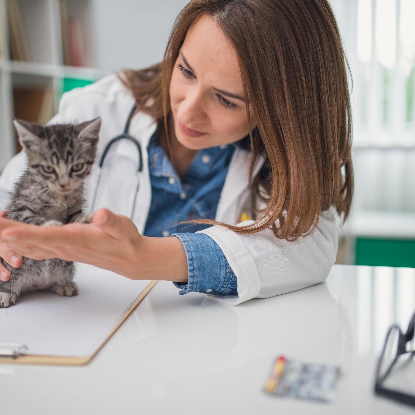 Sistema Gratuito de Agendamento e Triagem para Clínicas Veterinárias