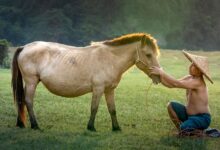 O Antropoceno: A Era da Humanidade