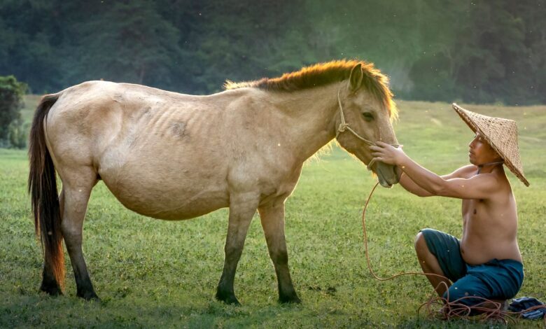 O Antropoceno: A Era da Humanidade