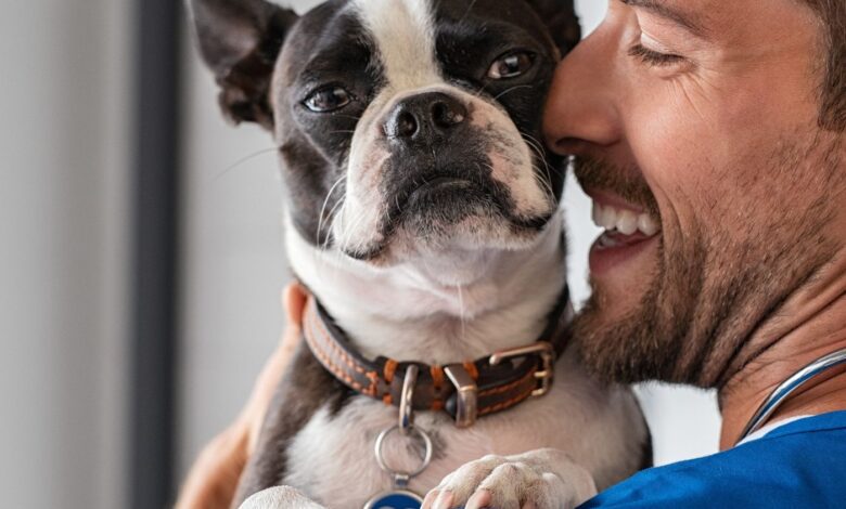 As 10 Melhores Faculdades de Medicina Veterinária do Brasil: Onde Começar Sua Carreira
