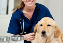 O que é a capilariose?