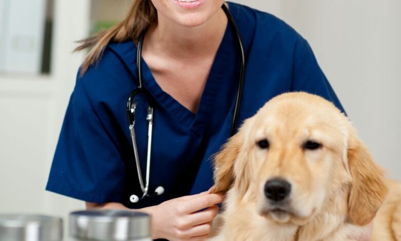 O que é a capilariose?