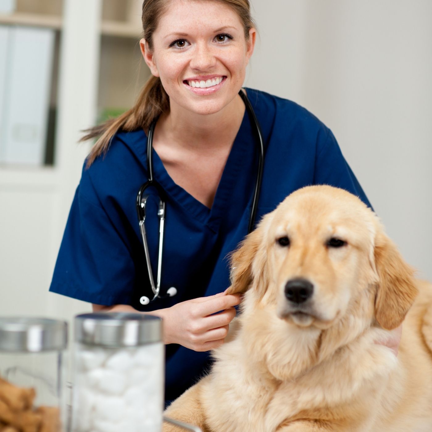 O que é a capilariose?