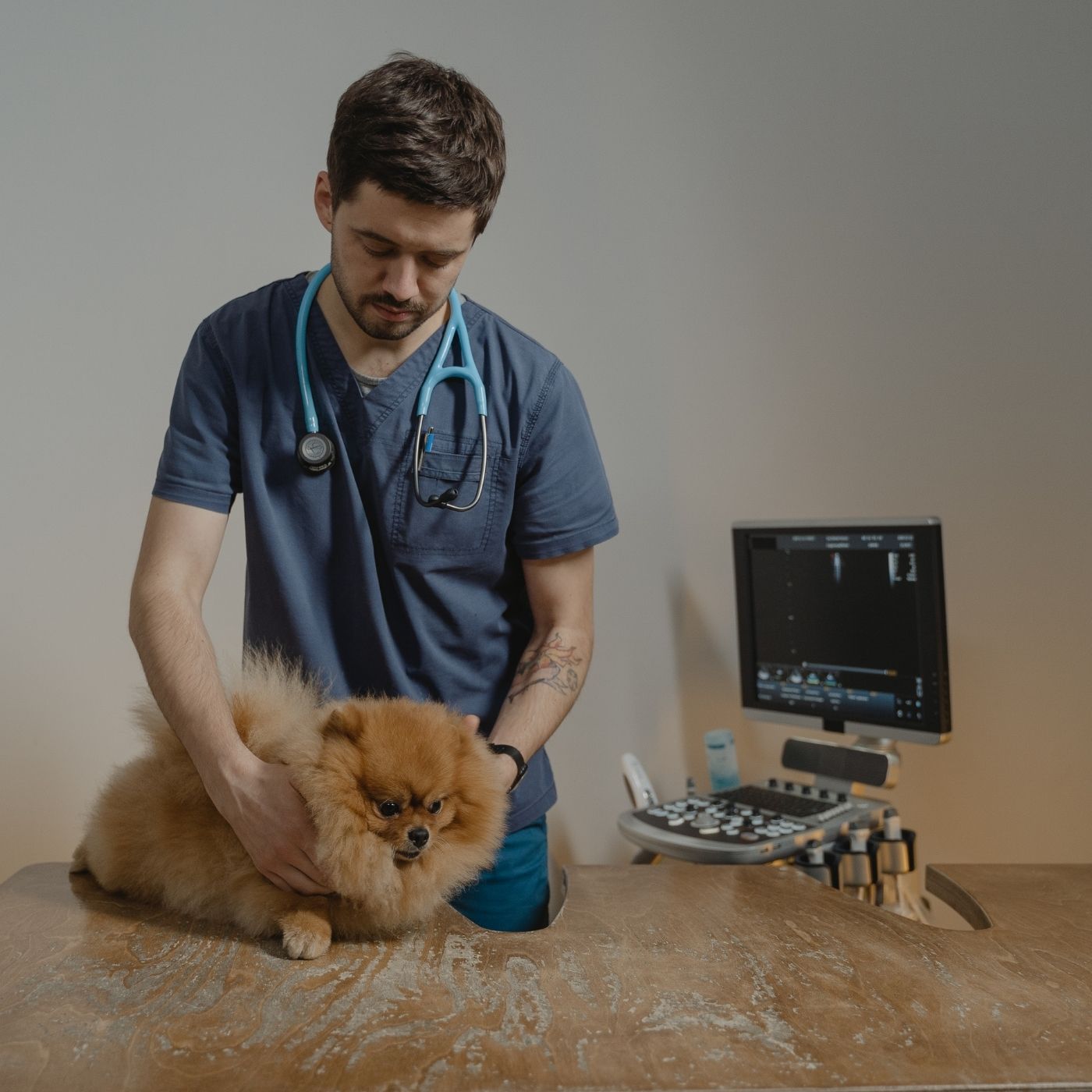 As 10 Melhores Faculdades de Medicina Veterinária em Minas Gerais