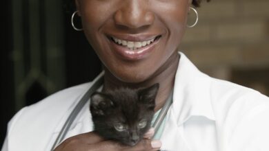 Mapa de Risco e Segurança do Trabalho na Medicina Veterinária