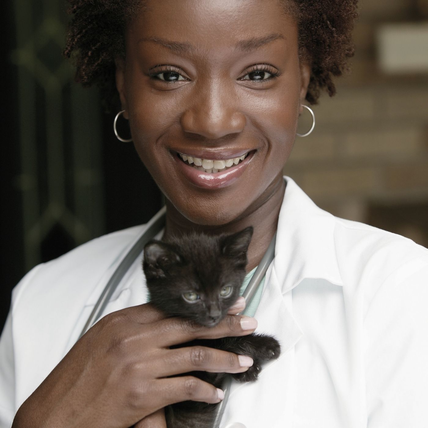 Mapa de Risco e Segurança do Trabalho na Medicina Veterinária