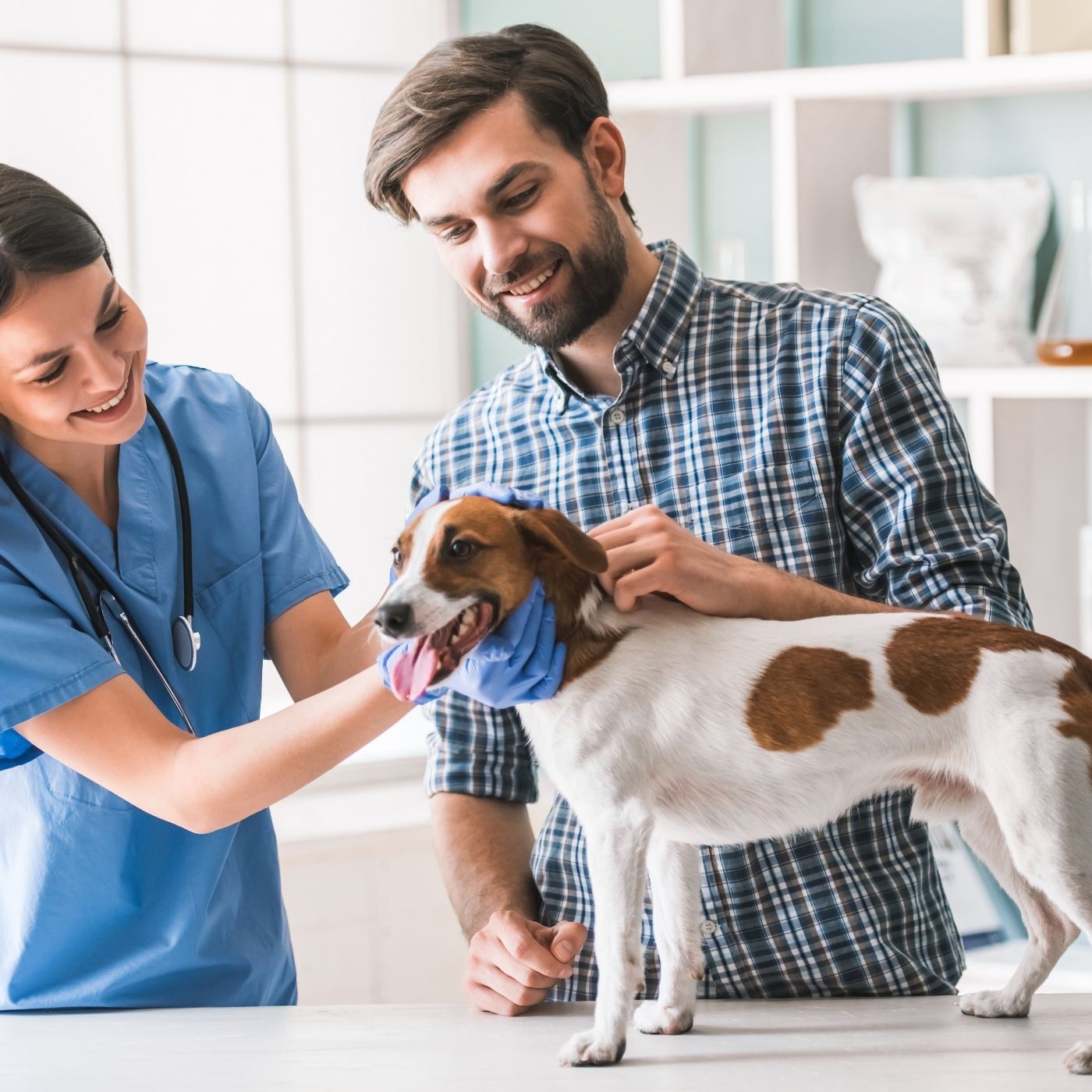 25 Melhores Órgãos Oficiais de Sanidade Animal na Cidade do Rio de Janeiro