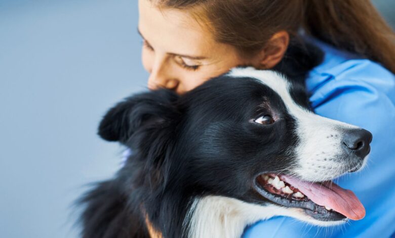 O que é a paramfistomose?