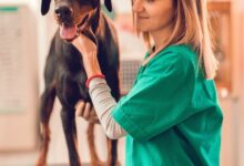 Fisiologia Veterinária: Trocas Gasosas e Regulação da Respiração