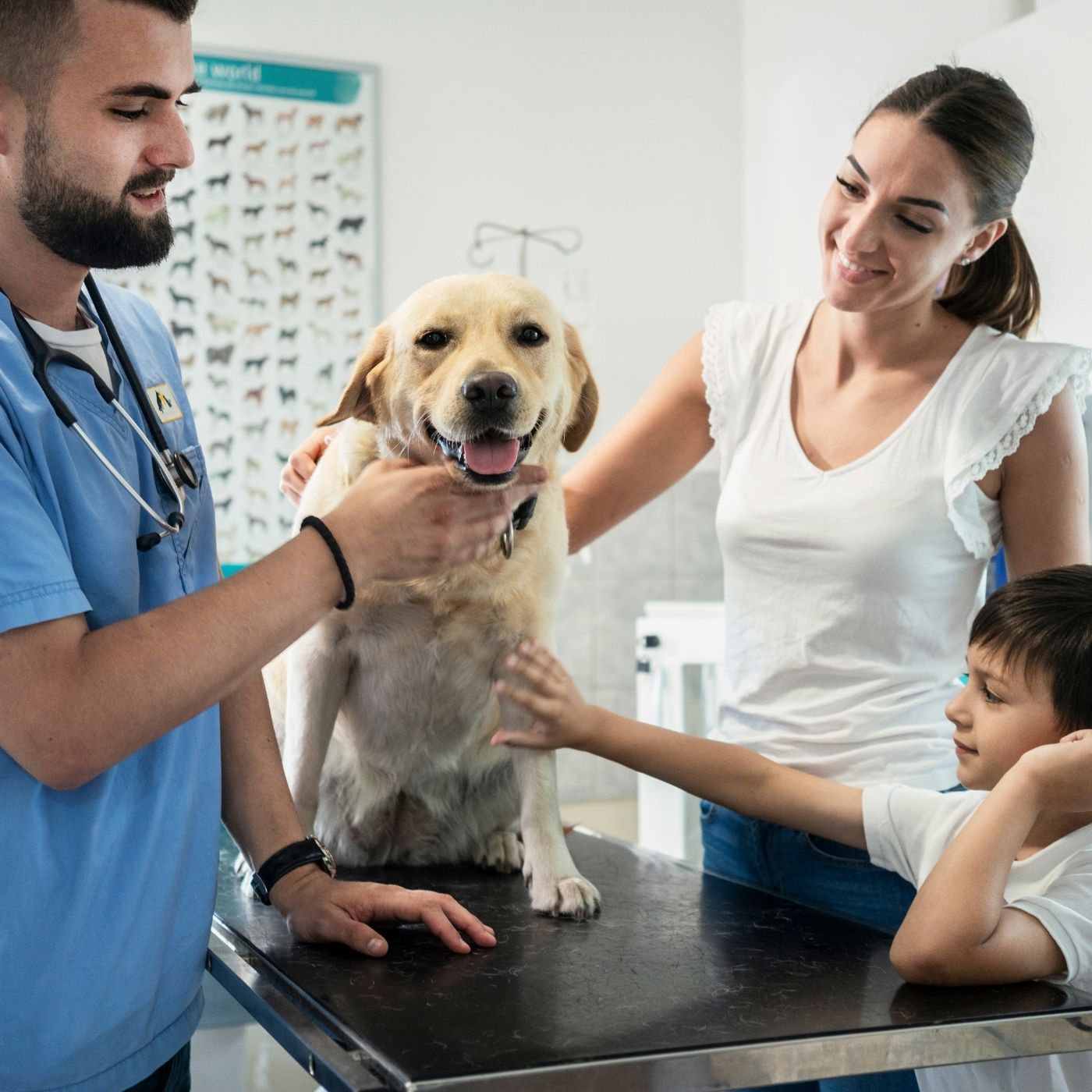 Piometra: A Doença Silenciosa que Pode Matar seu Cão em Dias