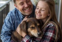 O Fim das Estrelas Vazias: Estratégias Comprovadas para Multiplicar suas Avaliações no Google Maps no Mercado Pet e Veterinário