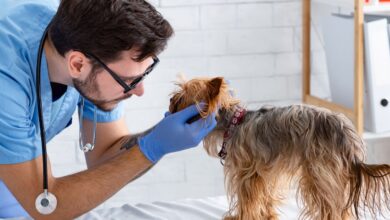 8ddf14bf6d1c4a5b95c7482caee13ce3