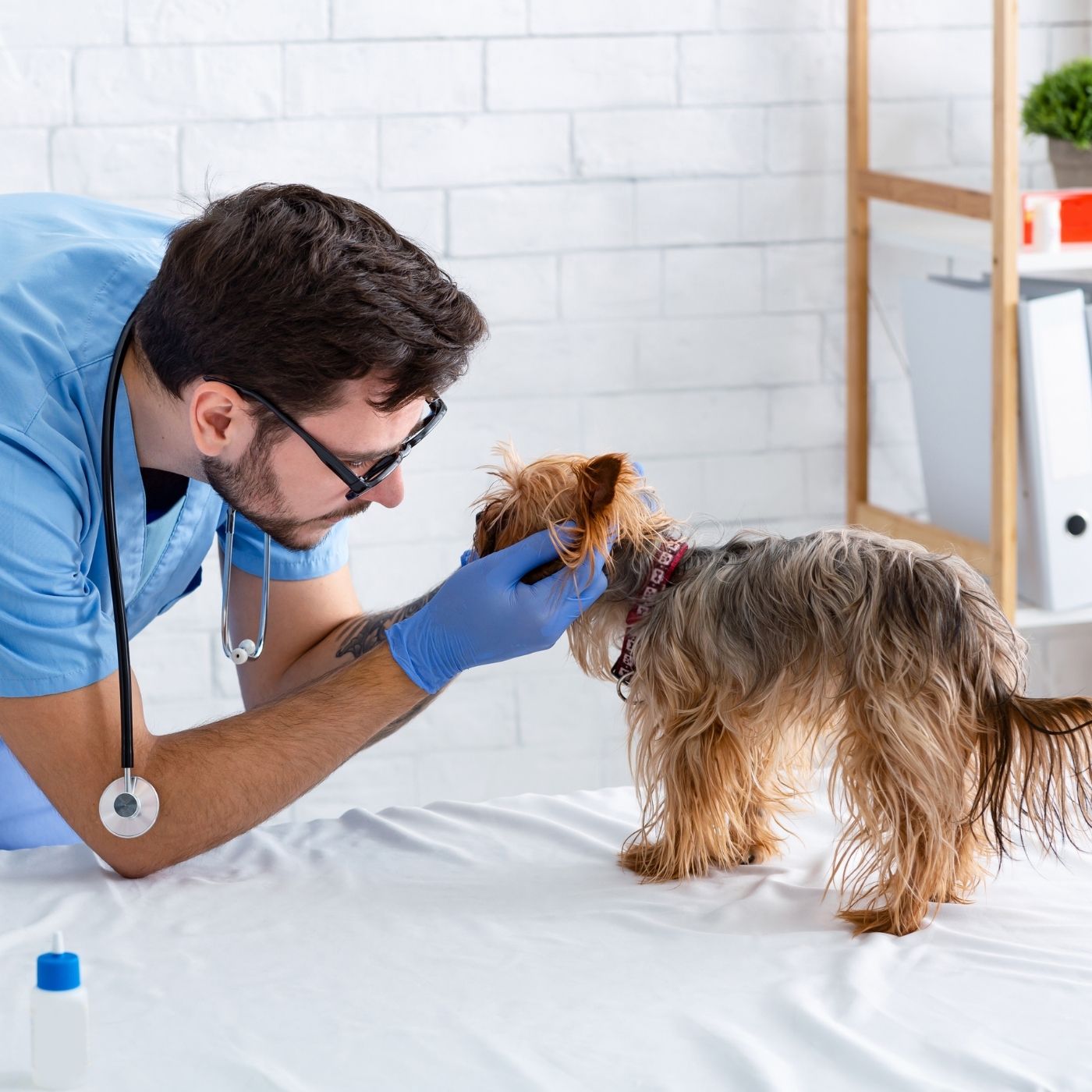 8ddf14bf6d1c4a5b95c7482caee13ce3