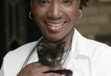 Fisiologia Veterinária: Ventilação Pulmonar e Mecânica Respiratória