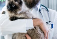 9dc405cf57314e6296b5ae5aff266a17