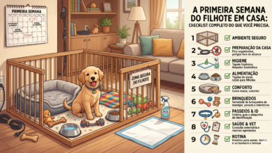 A Primeira Semana do Filhote em Casa: Checklist Completo do Que Você Precisa