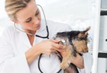 c38d9169ae3a4753ba81ab6edac00deb