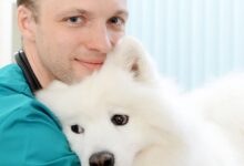 cf2b068add2d487294794de451184ed7