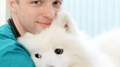 cf2b068add2d487294794de451184ed7