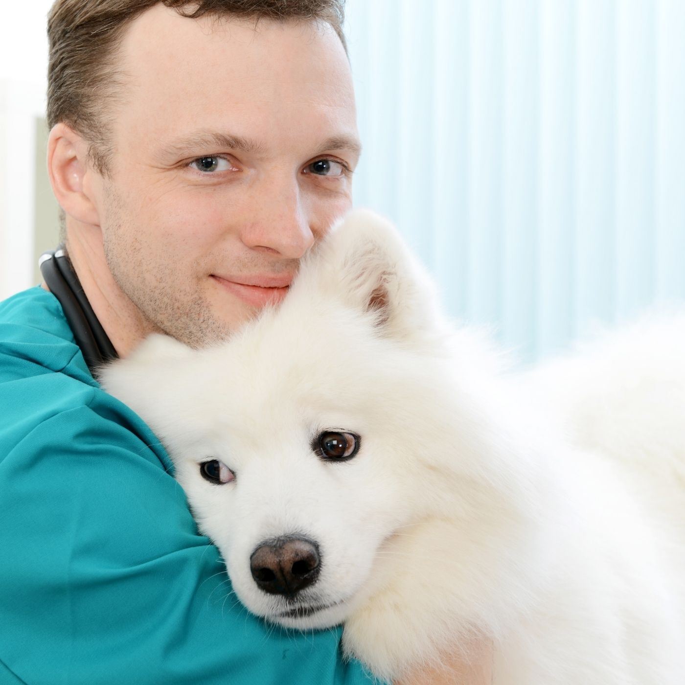 cf2b068add2d487294794de451184ed7