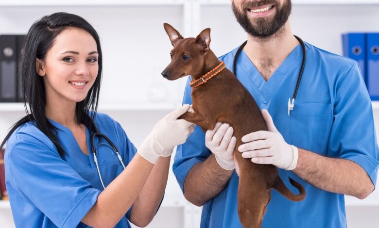 COVID-19 em Felinos e Caninos: Transmissão do SARS-CoV-2 de tutores infectados para seus animais de estimação.