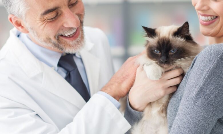 Tireoidite autoimune canina